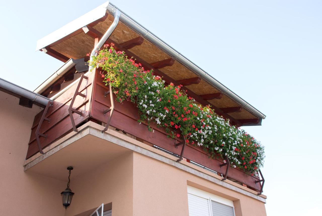 Apartament Vesna Vukovar Zewnętrze zdjęcie